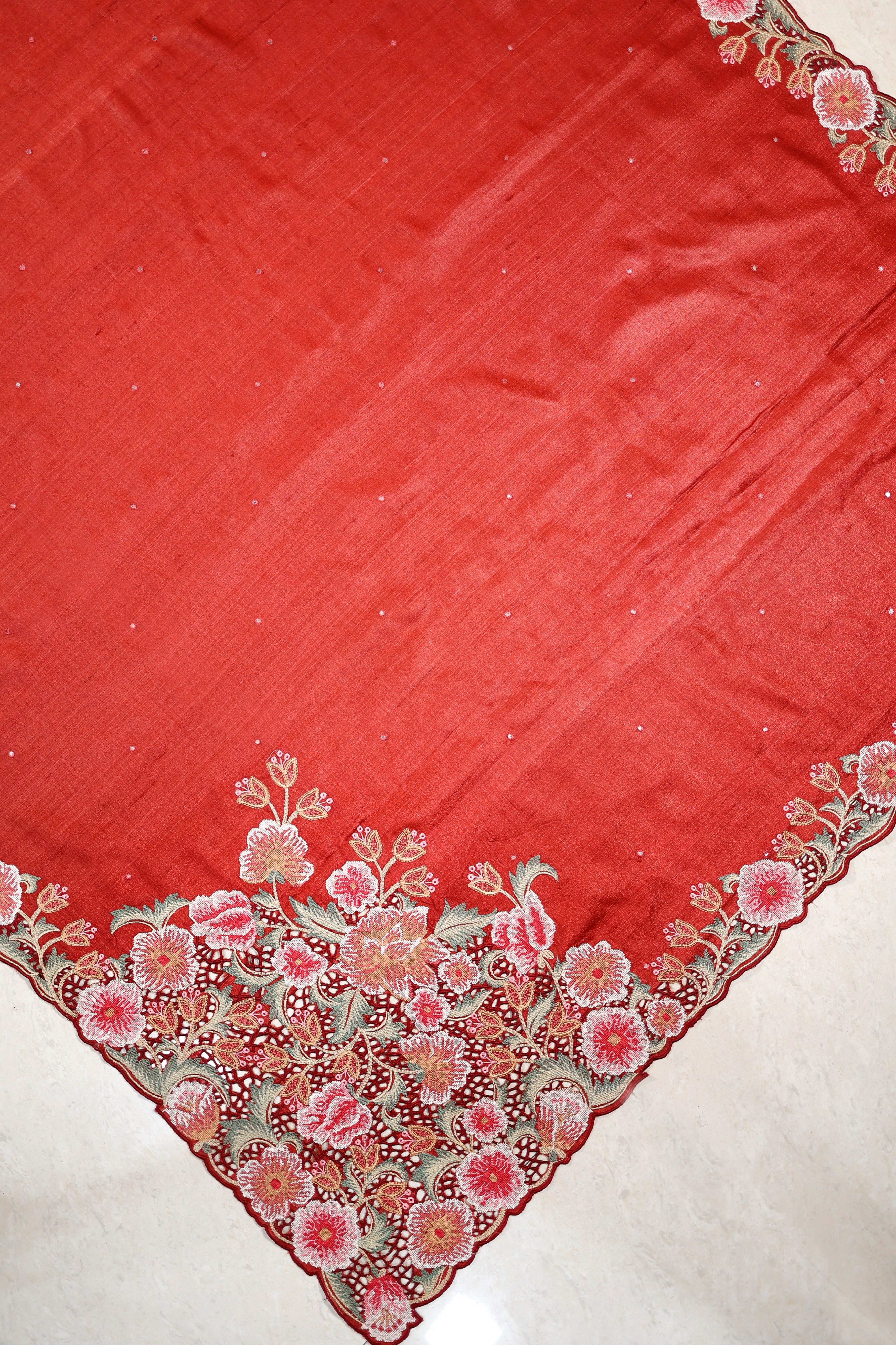 Banarasi Pure Tussar Red Color Saree